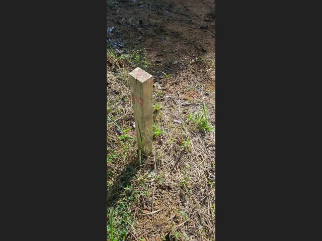 Imagem 3: Lote na Estrada do Caldeirão Próximo Ao Jandira