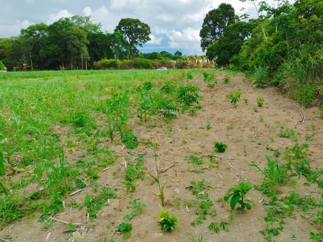 Imagem: Vendo Terreno com 2.500M² e Ótima Localização