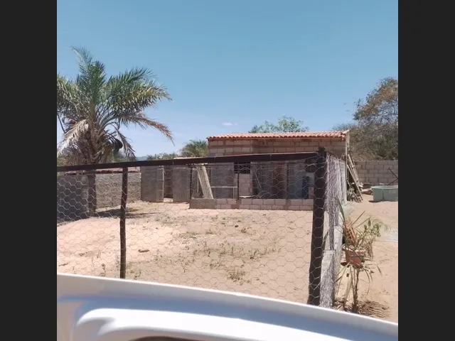 Imagem 6: Chácara no Povoado Umburana em Senhor do Bonfim Ba