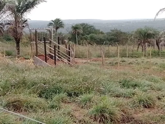 Imagem 7: Chácara no Povoado Umburana em Senhor do Bonfim Ba