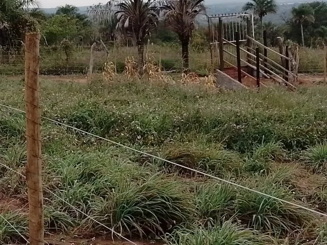 Imagem 13: Chácara no Povoado Umburana em Senhor do Bonfim Ba