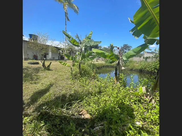 Imagem 16: Chácara com Lago em Itanhaém