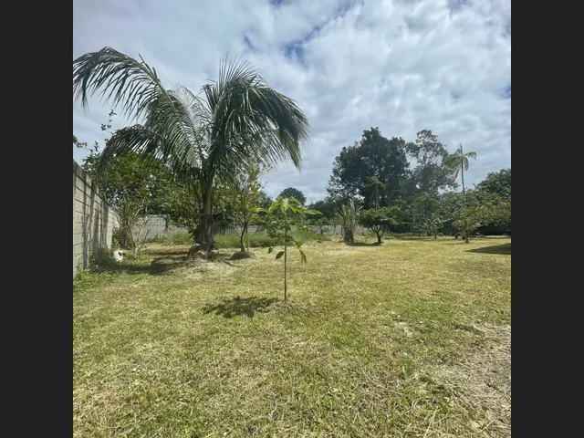 Imagem 10: Chácara com Lago em Itanhaém