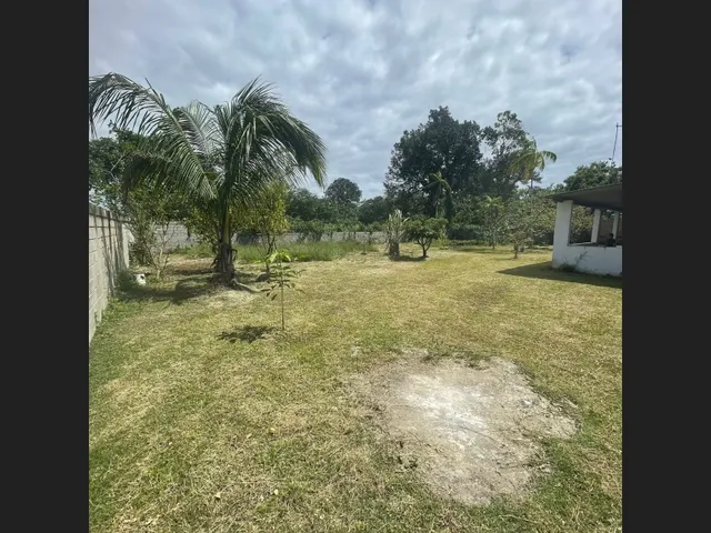 Imagem 12: Chácara com Lago em Itanhaém