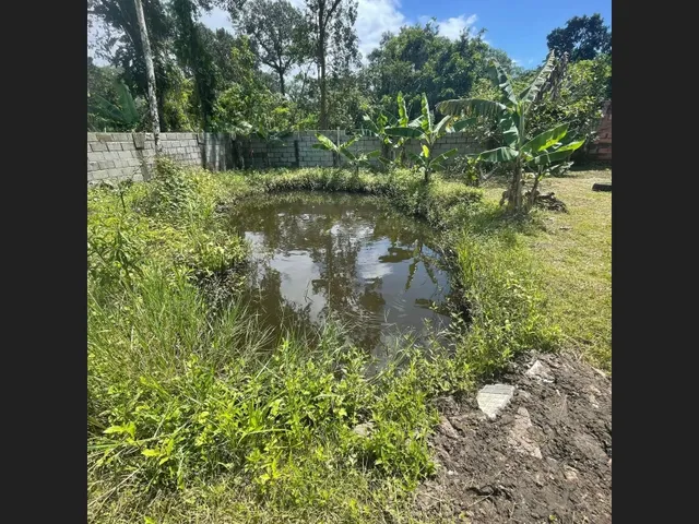 Imagem 13: Chácara com Lago em Itanhaém