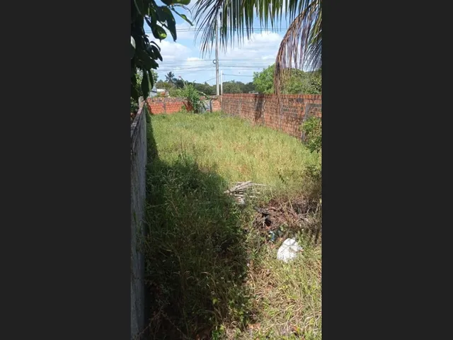 Imagem: Vendo Area Murada com Portão 7X33Mts. Area