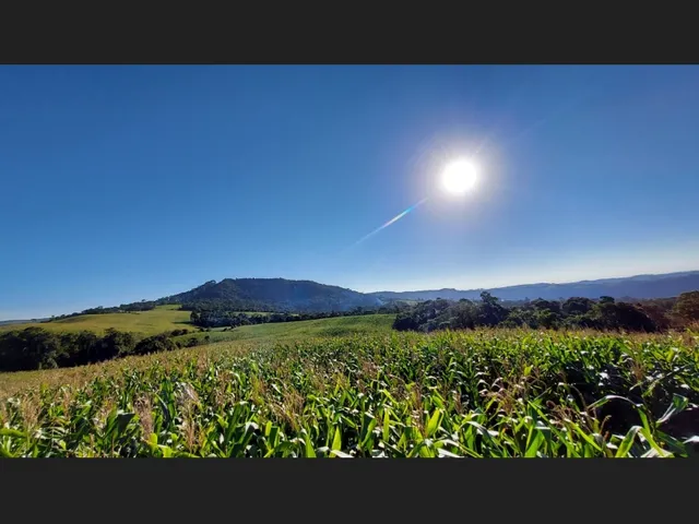 Imagem: Aceita 100 em Permuta Fazenda À Venda