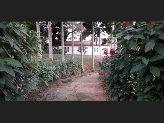 Imagem 3: Vendo Sítio com Casa e Área de 58.000M2