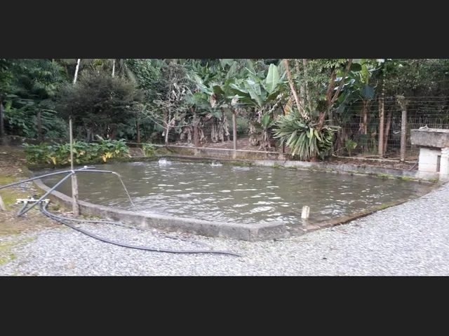 Imagem 2: Vendo Sítio com Casa e Área de 58.000M2
