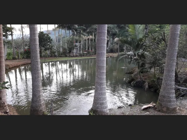 Imagem 10: Vendo Sítio com Casa e Área de 58.000M2