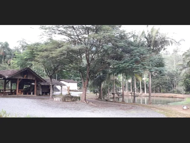Imagem 15: Vendo Sítio com Casa e Área de 58.000M2