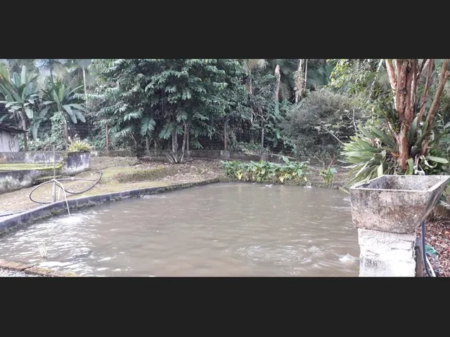 Imagem 5: Vendo Sítio com Casa e Área de 58.000M2