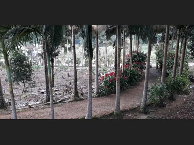 Imagem 8: Vendo Sítio com Casa e Área de 58.000M2