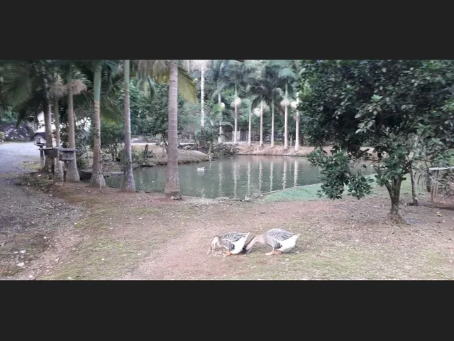 Imagem 12: Vendo Sítio com Casa e Área de 58.000M2