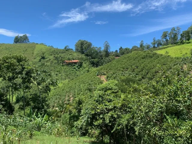 Imagem: Terreno de 1.559 M² no Bairro de Amparo