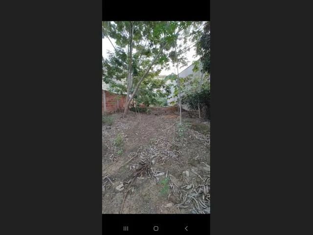 Imagem 3: Lote 665Mt em Colatina Córrego da Lavra