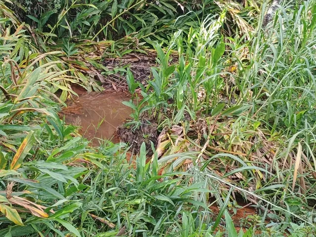 Imagem 5: Terreno de 42 Há em Piedade dos Gerais Mg