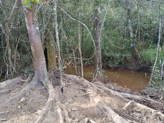 Imagem 11: Terreno de 42 Há em Piedade dos Gerais Mg