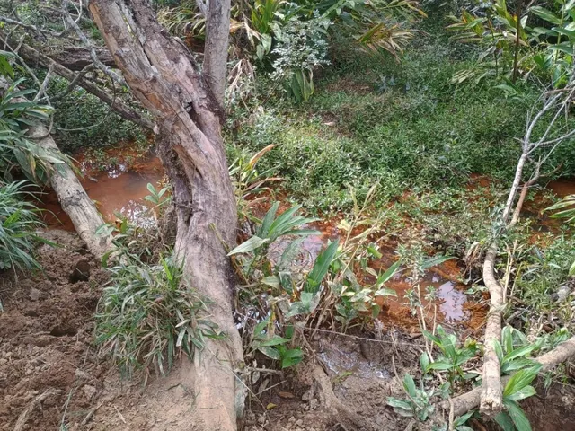 Imagem 10: Terreno de 42 Há em Piedade dos Gerais Mg