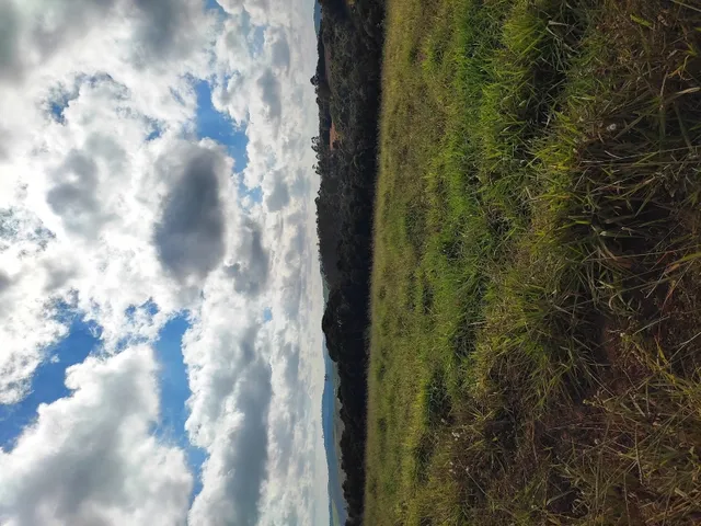 Imagem 9: Terreno de 42 Há em Piedade dos Gerais Mg
