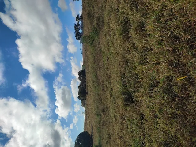 Imagem 6: Terreno de 42 Há em Piedade dos Gerais Mg