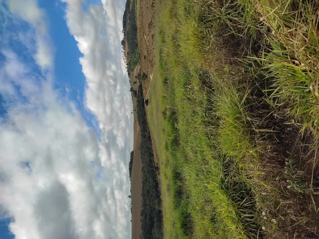 Imagem 14: Terreno de 42 Há em Piedade dos Gerais Mg