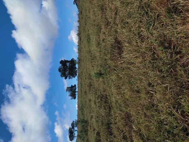Imagem 4: Terreno de 42 Há em Piedade dos Gerais Mg