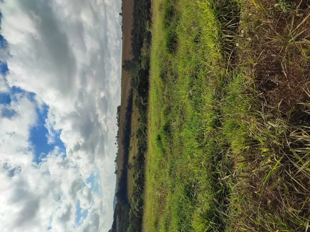 Imagem 3: Terreno de 42 Há em Piedade dos Gerais Mg