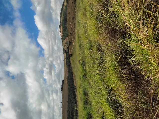 Imagem 12: Terreno de 42 Há em Piedade dos Gerais Mg