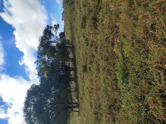 Imagem 8: Terreno de 42 Há em Piedade dos Gerais Mg