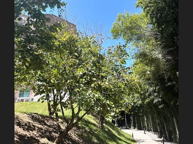 Imagem 3: Apartamento com 2 Dormitórios À Venda, 71 M² - Samambaia - Petrópolis/Rj