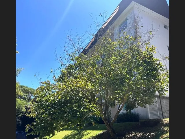 Imagem 2: Apartamento com 2 Dormitórios À Venda, 71 M² - Samambaia - Petrópolis/Rj
