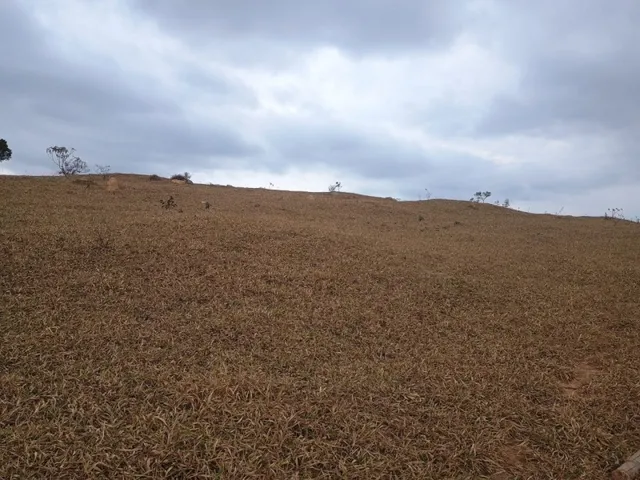 Imagem: Terreno de 27 Ha em Piedade Gerais Mg