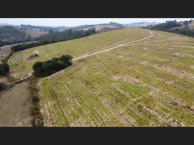 Imagem 6: Terreno Plano de 26 Ha Piedade Gerais Mg