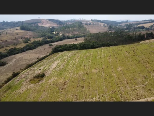 Imagem 3: Terreno Plano de 26 Ha Piedade Gerais Mg