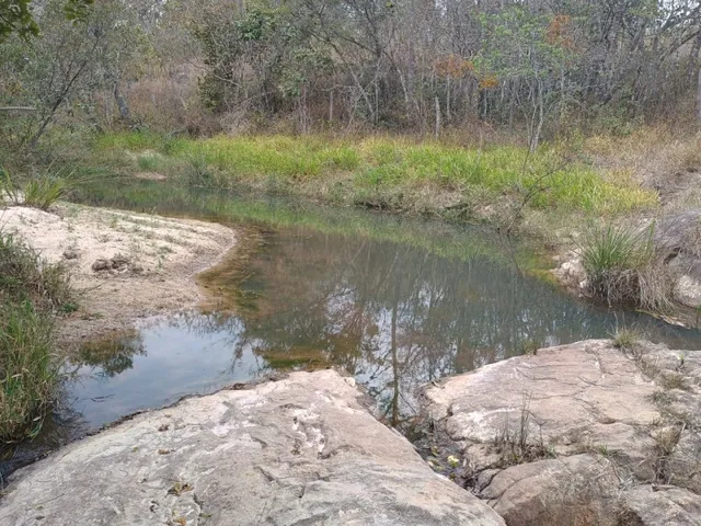 Imagem 9: Terreno Plano de 26 Ha Piedade Gerais Mg