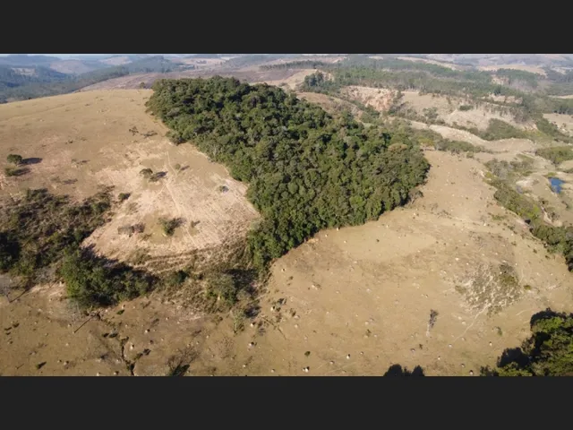 Imagem: Terreno de 27 Ha em Piedade dos Gerais Mg
