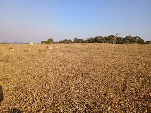 Imagem 16: Terreno de 27 Ha em Piedade dos Gerais Mg