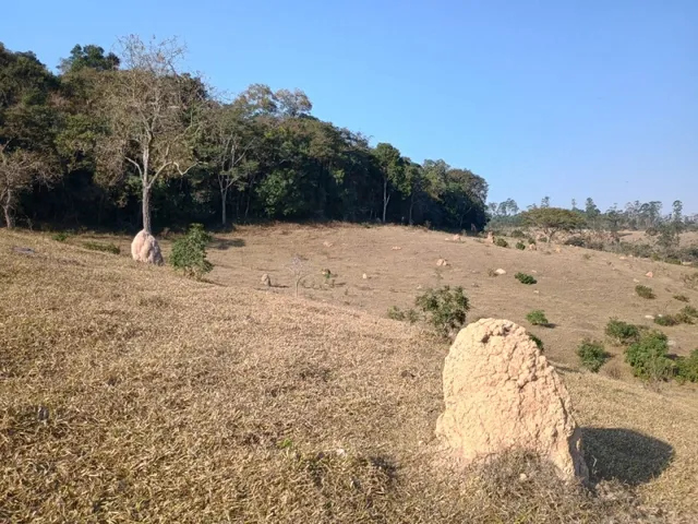 Imagem 11: Terreno de 27 Ha em Piedade dos Gerais Mg