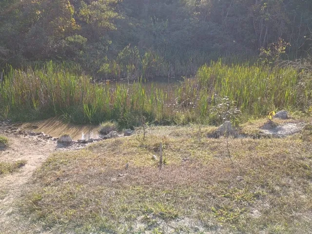 Imagem 15: Terreno de 27 Ha em Piedade dos Gerais Mg