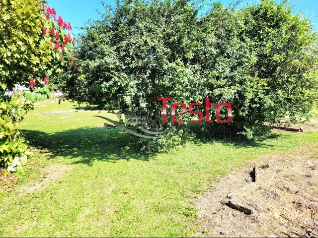 Imagem 6: Ótimo Terreno Plano - Testo Rega