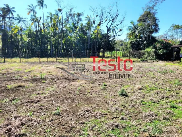 Imagem 4: Ótimo Terreno Plano - Testo Rega