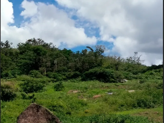 Imagem: Terreno de 19.500 M² com Potencial de Expansão