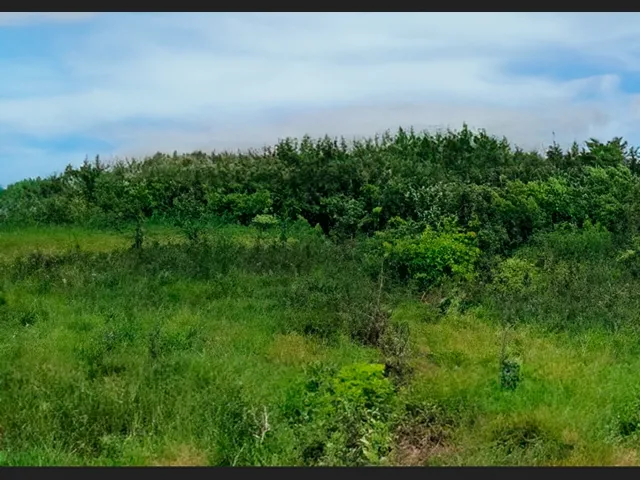 Imagem 2: Terreno de 19.500 M² com Potencial de Expansão