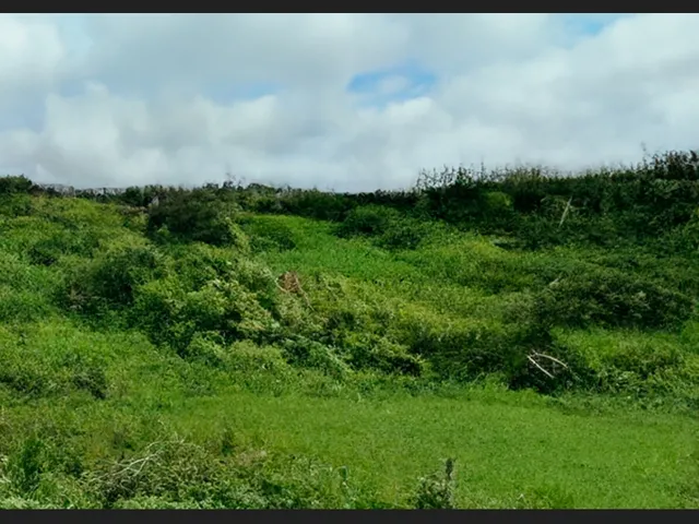 Imagem: Terreno de 10.600 M² em Área de Altitude
