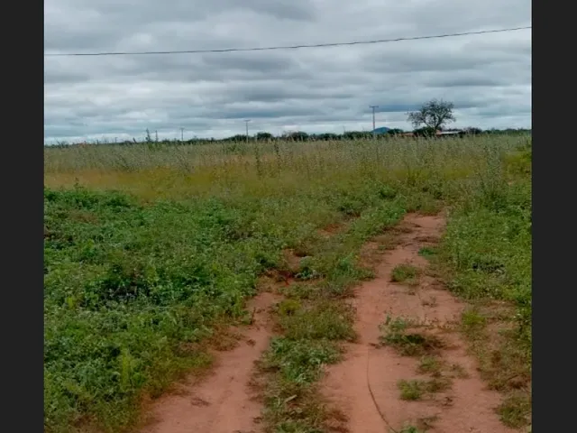 Imagem: Terreno de 8.600 M² com Vocação Agrícola