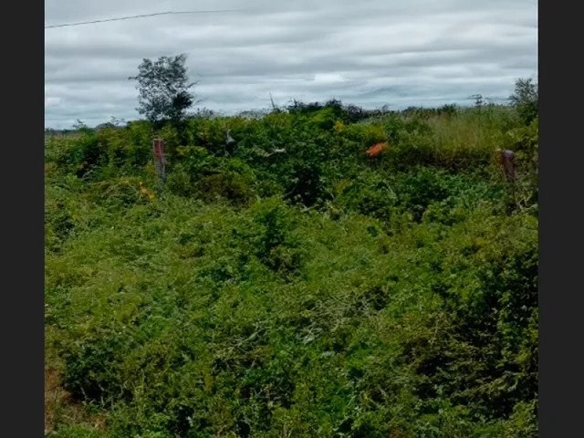 Imagem: Terreno de 6.600 M² em Senhor do Bonfim