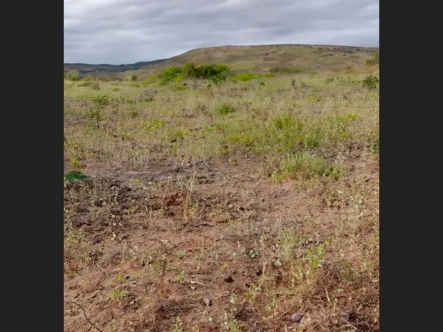 Imagem 1: Terreno de 16.500 M² em Região Promissora