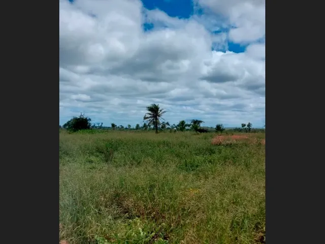 Imagem: Terreno de 10.500 M² em Área Tradicional