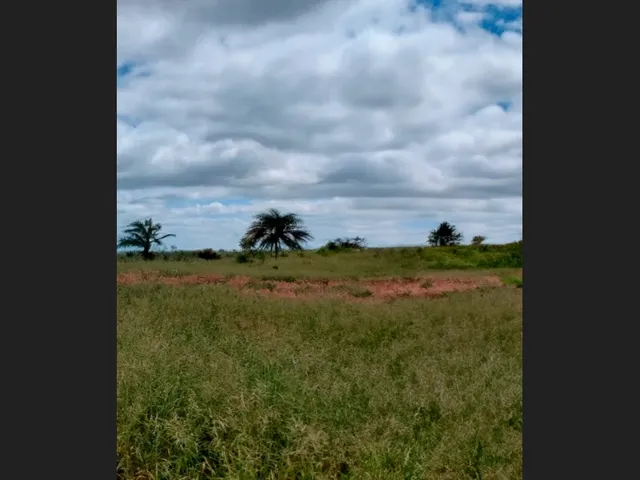 Imagem 2: Terreno de 10.500 M² no Coração de Capim Grosso